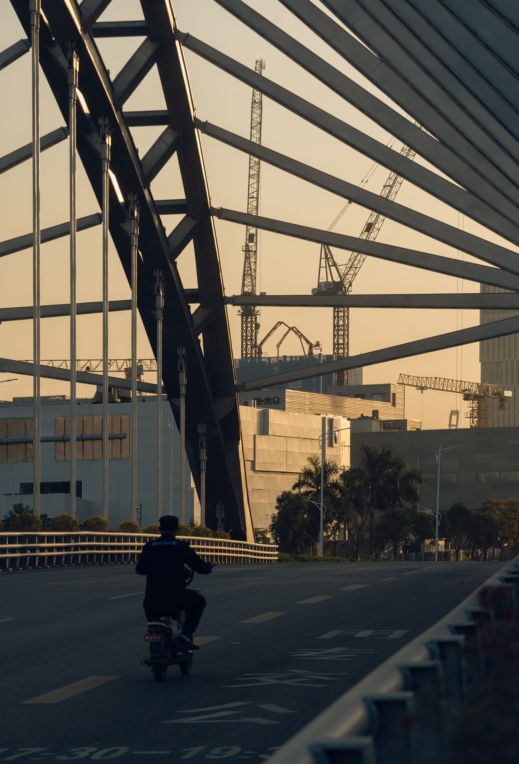AR408039-编辑.jpg